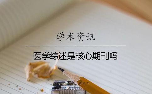 醫(yī)學(xué)綜述是核心期刊嗎